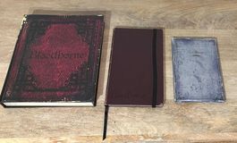 Bloodborne Press Kit + Game (PS4/5) - extrem selten