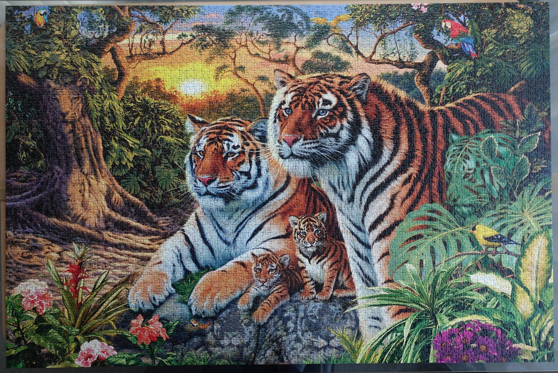 Ravensburger Puzzle: Ravensburger Puzzle, 3000 Teile – Usato da Root venduto da Umo63 1