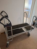 Wanzl Plattformwagen 130 kg Belastung gebraucht