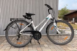 Pegasus Piazza 28” Trekkingvelo Damen Shimano