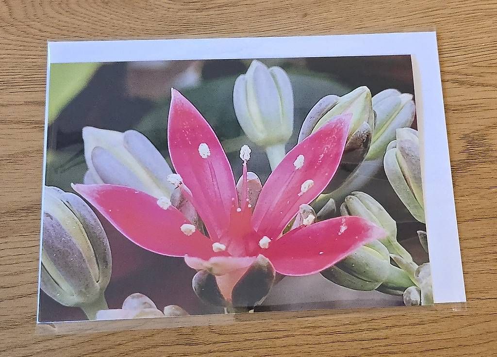 Cartes: Doppel Karte A5 NEU – D'occasion à Chur par Frei3912 3