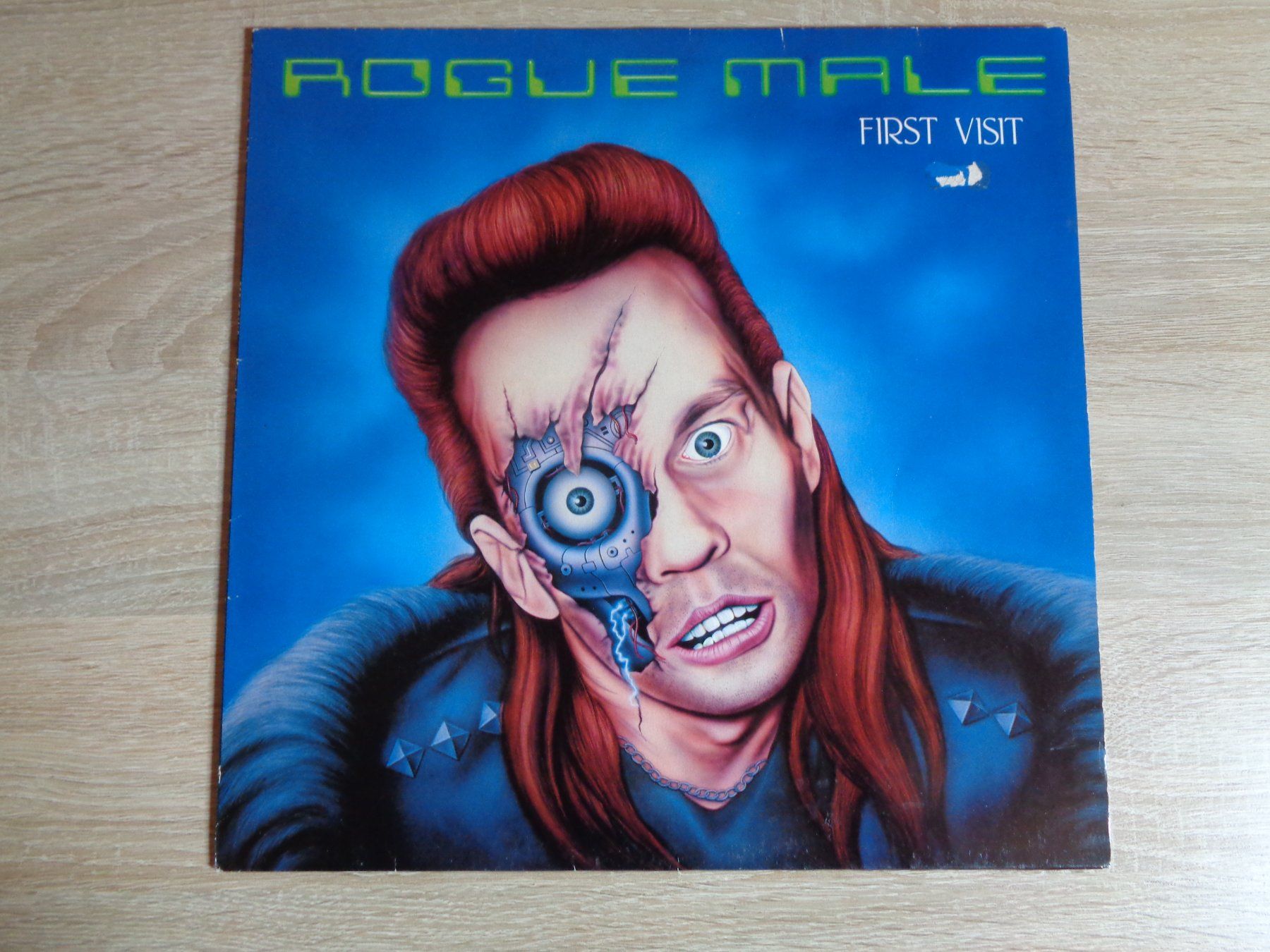 Dischi in vinile: ROGUE MALE - FIRST VISIT (LP) – Usato da Weiningen ZH venduto da Princebebe