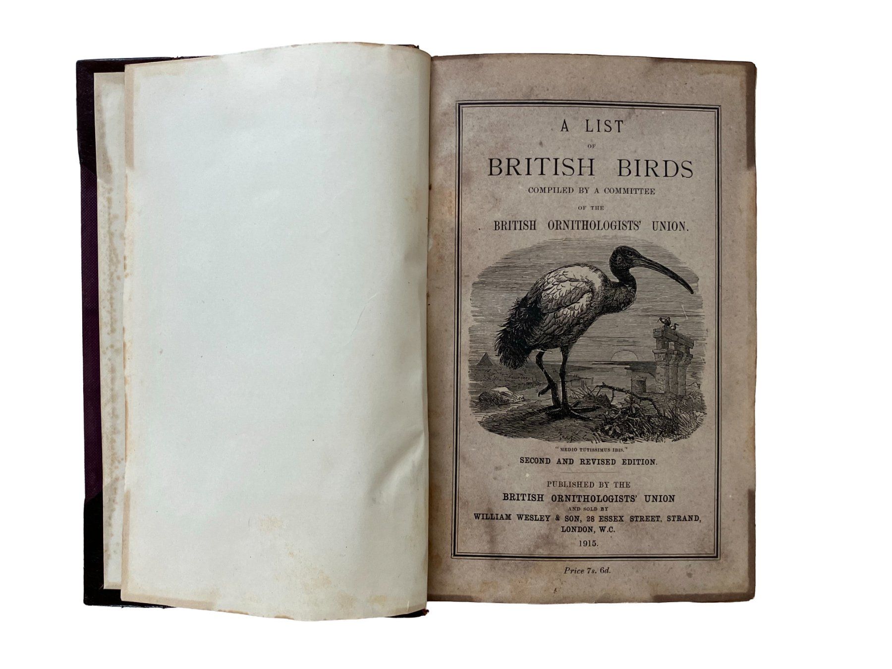 Libri: Ornithological book with Belltrees binding, 1915 – Usato da Uster venduto da TricottetCollection 4