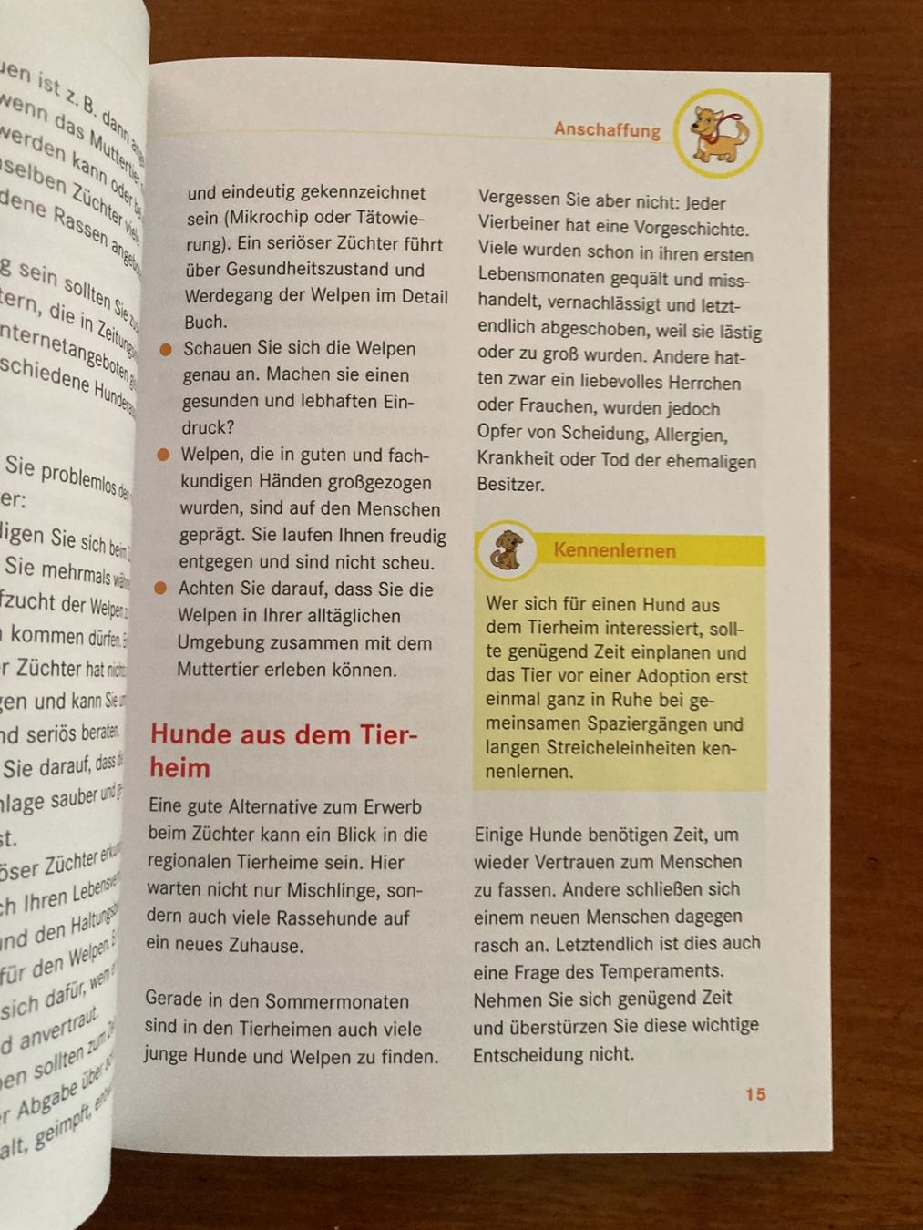 Libri: HUNDE   Sachbuch  von  Jennifer Willms – Usato da Subingen venduto da Etageren 5