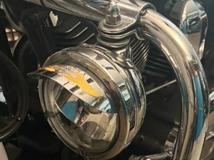 Harley-Davidson Sonstiges Fahrzeugzubehör: Harley-Davidson original Eagle Wing Lampenschirme – Neu (gemäss Beschreibung) aus Schaffhausen von MotoSH 6