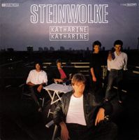 Steinwolke Vinyl Single von 1983
