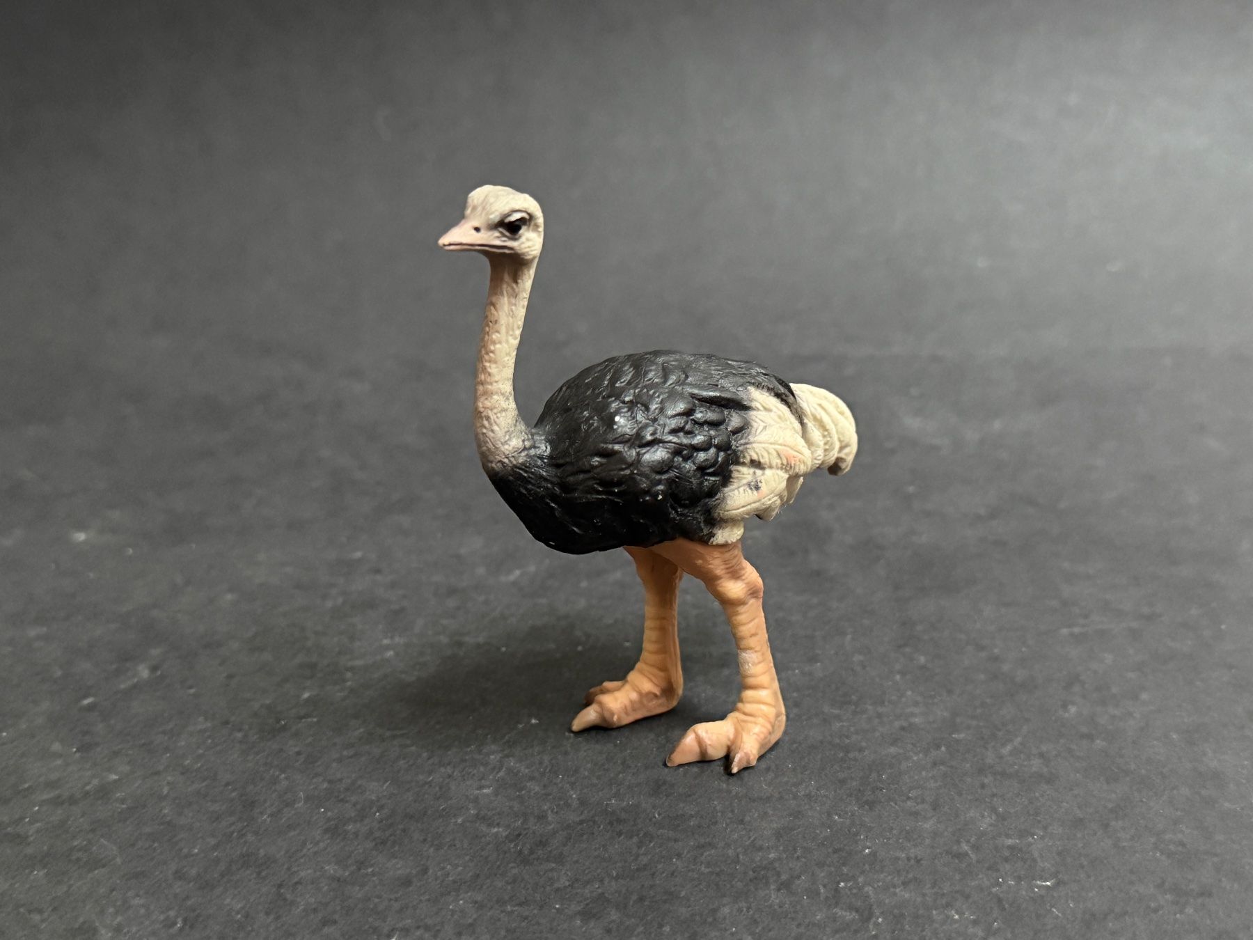 Schleich Statuette: Schleich Strauß  Strauss – Usato da Ennetbaden venduto da mapa05