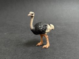 Schleich Strauß  Strauss