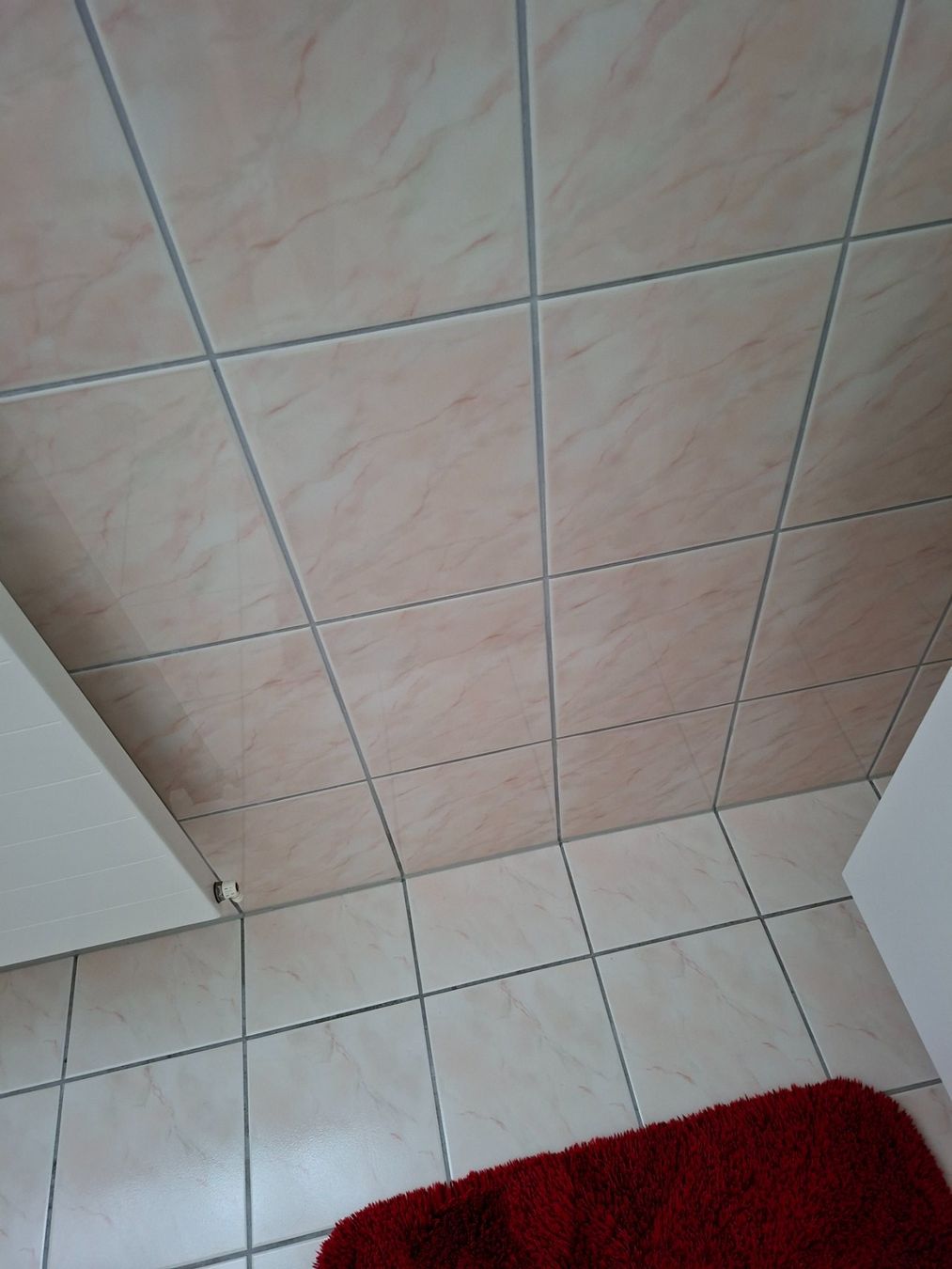 Bodenbeläge: Boden & Wandplatten – Neu (gemäss Beschreibung) aus Schwarzenbach SG von mel_s6jj 4