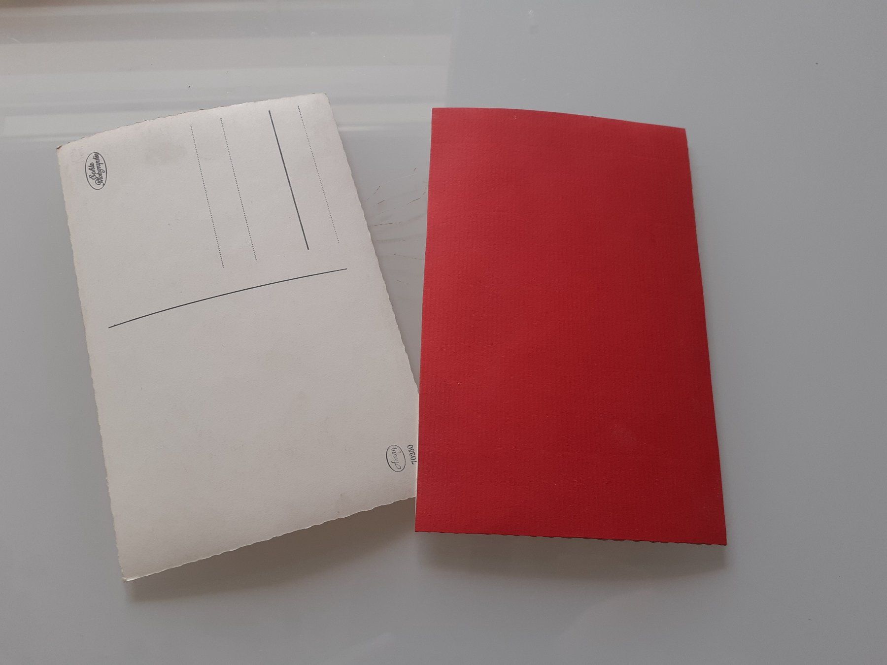 Poster & Bilder: PFERDE - SCHIMMEL und SCHECK – Gebraucht aus Winterthur von Ornyx7 1