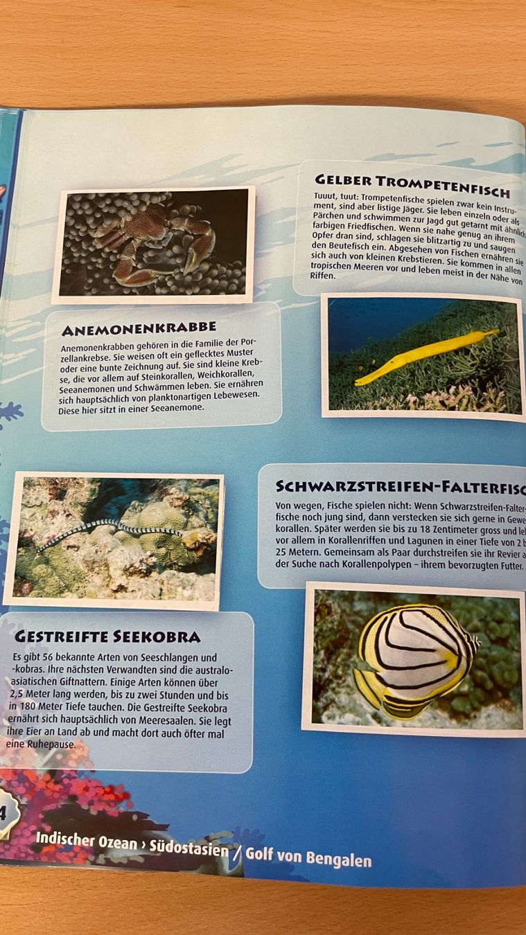 WWF Album: Ocean Mania - Abenteuer Weltmeere – Usato da Glattfelden venduto da markweb 8