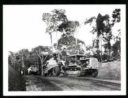 Fotografie Douala / Kamerun, Raupenschle
