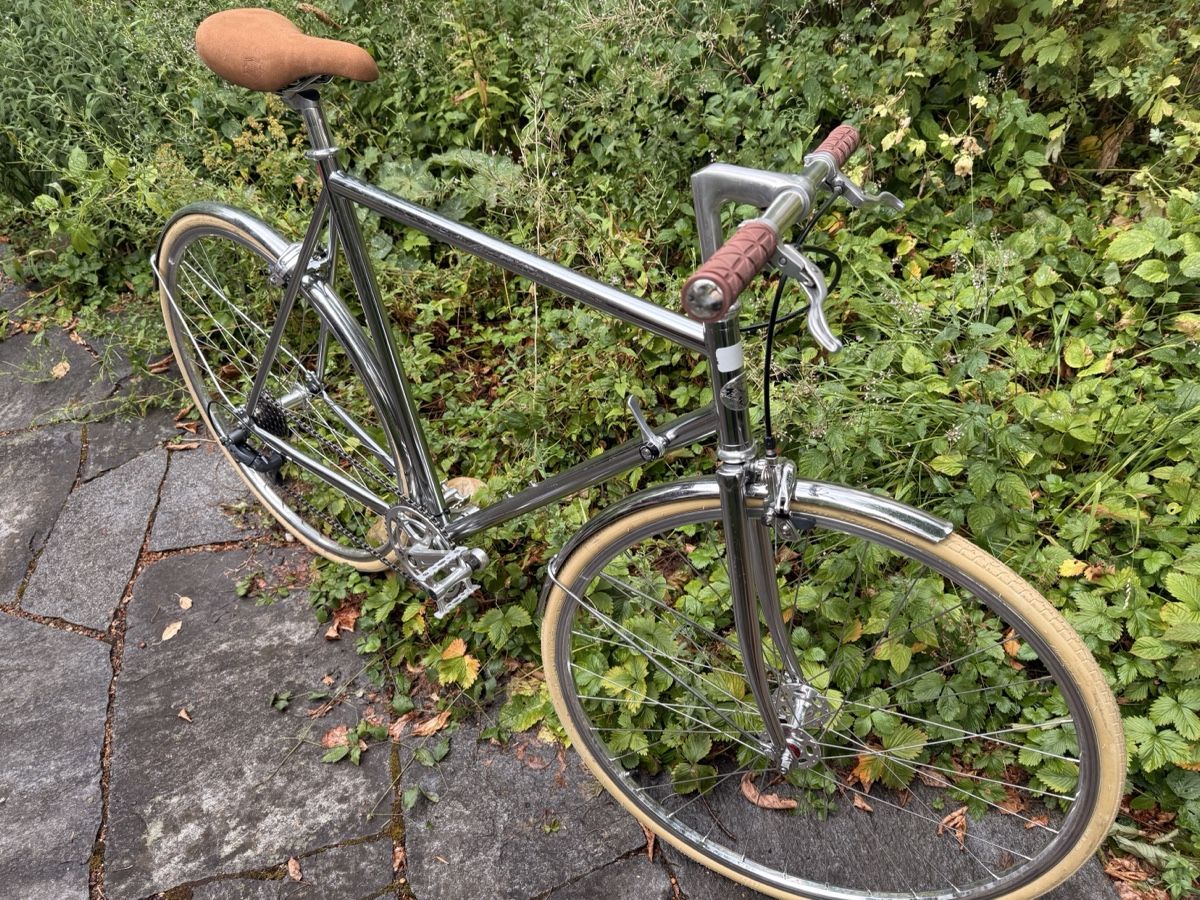 Vélos: Weisswangenkauz Velo – D'occasion à Bern par miirmiir 1