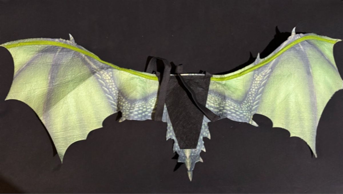 Costumi: Costume Accessoires Dragon – Usato da Le locle venduto da cla_nv8m 2