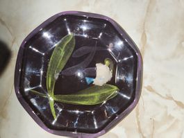 Keramik Schalen Set 8-eckig violett handgemacht Marke