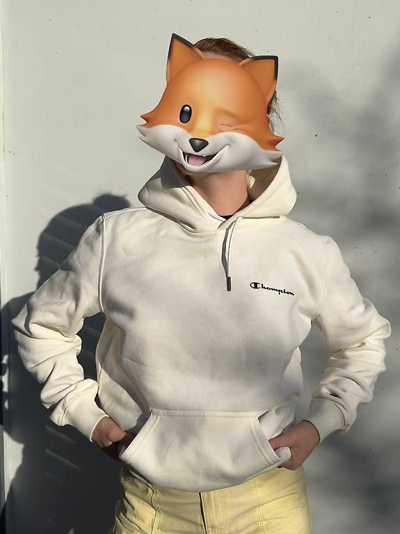 Champion Maglioni & Felpe: Champion ICONS HOODIE – Usato da Meggen venduto da gia_wz2q 1