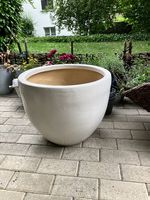 Schöner grosser weisser Übertopf für im Haus