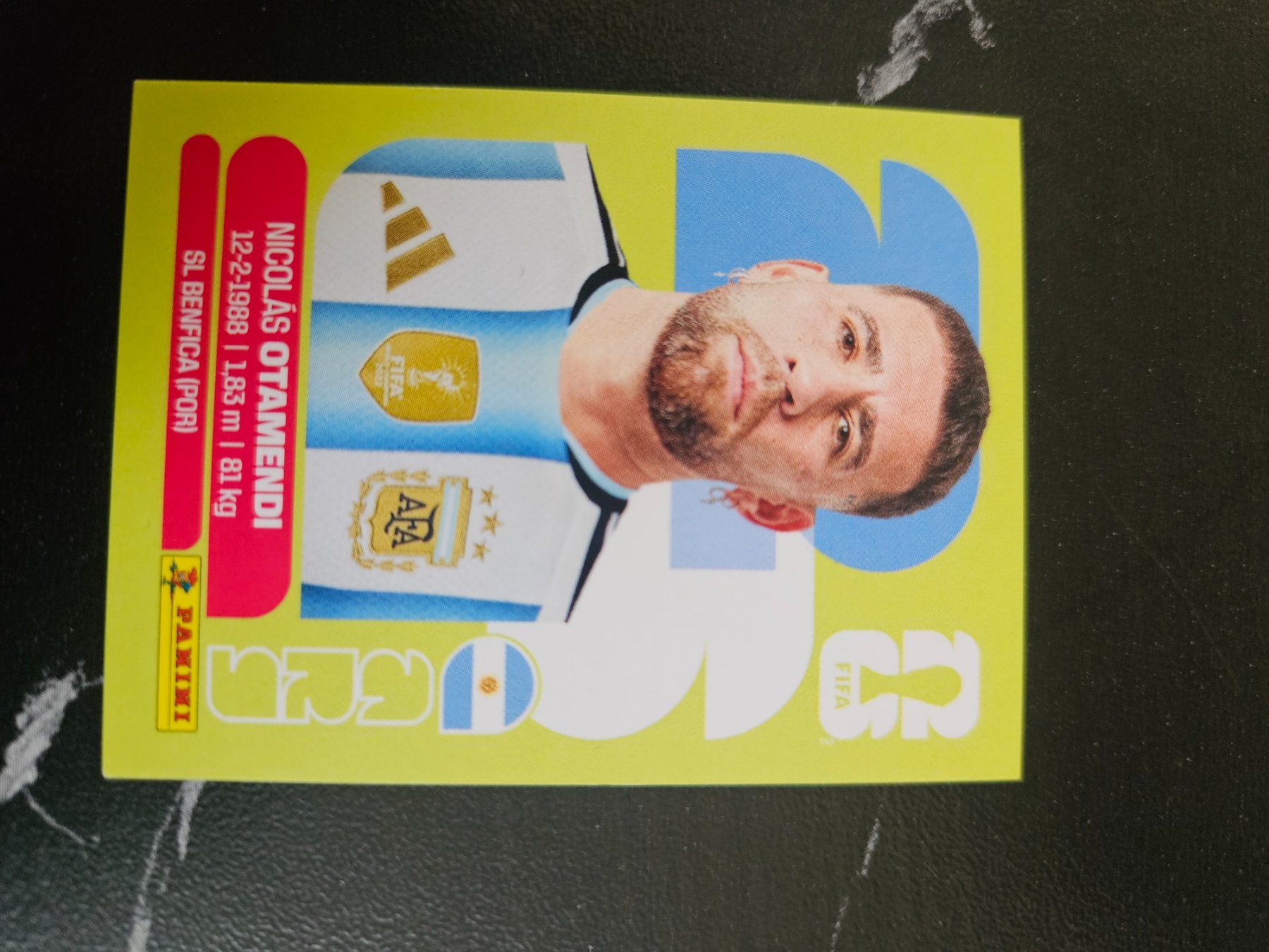 Panini Carte collezionabili: ARG5 – Usato da Würenlingen venduto da Dinli