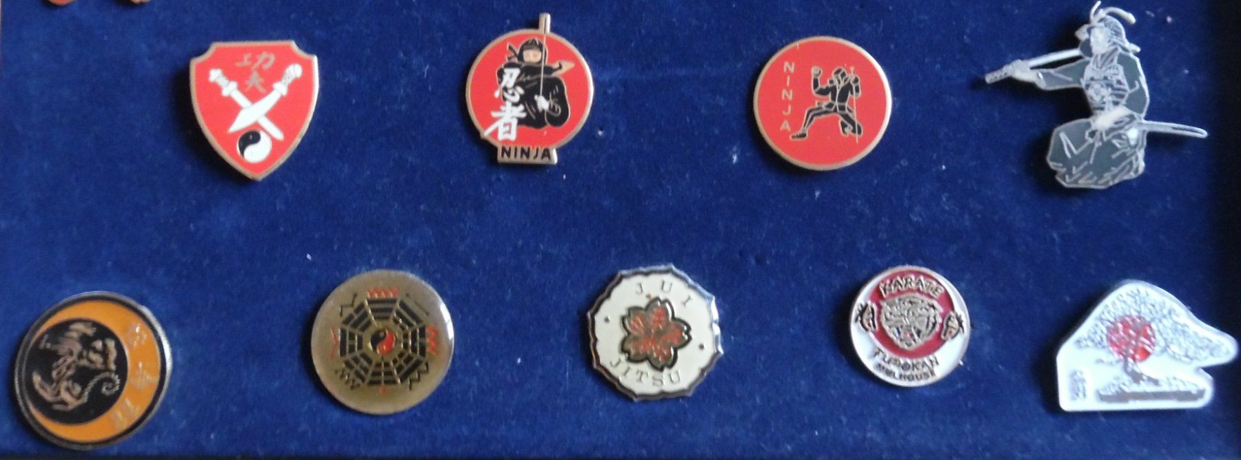 Placchette & Badge: Pin-Sammlung – Usato da Bellinzona venduto da Luna093 4