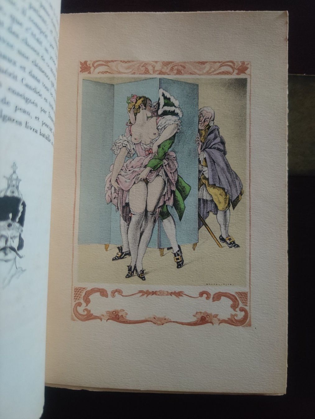 Libri: CANDIDE OU L'OPTIMISME VOLTAIRE ILLUSTRATIONS BRUNELLESCHI – Usato da Genève venduto da Atelier.Curio 6
