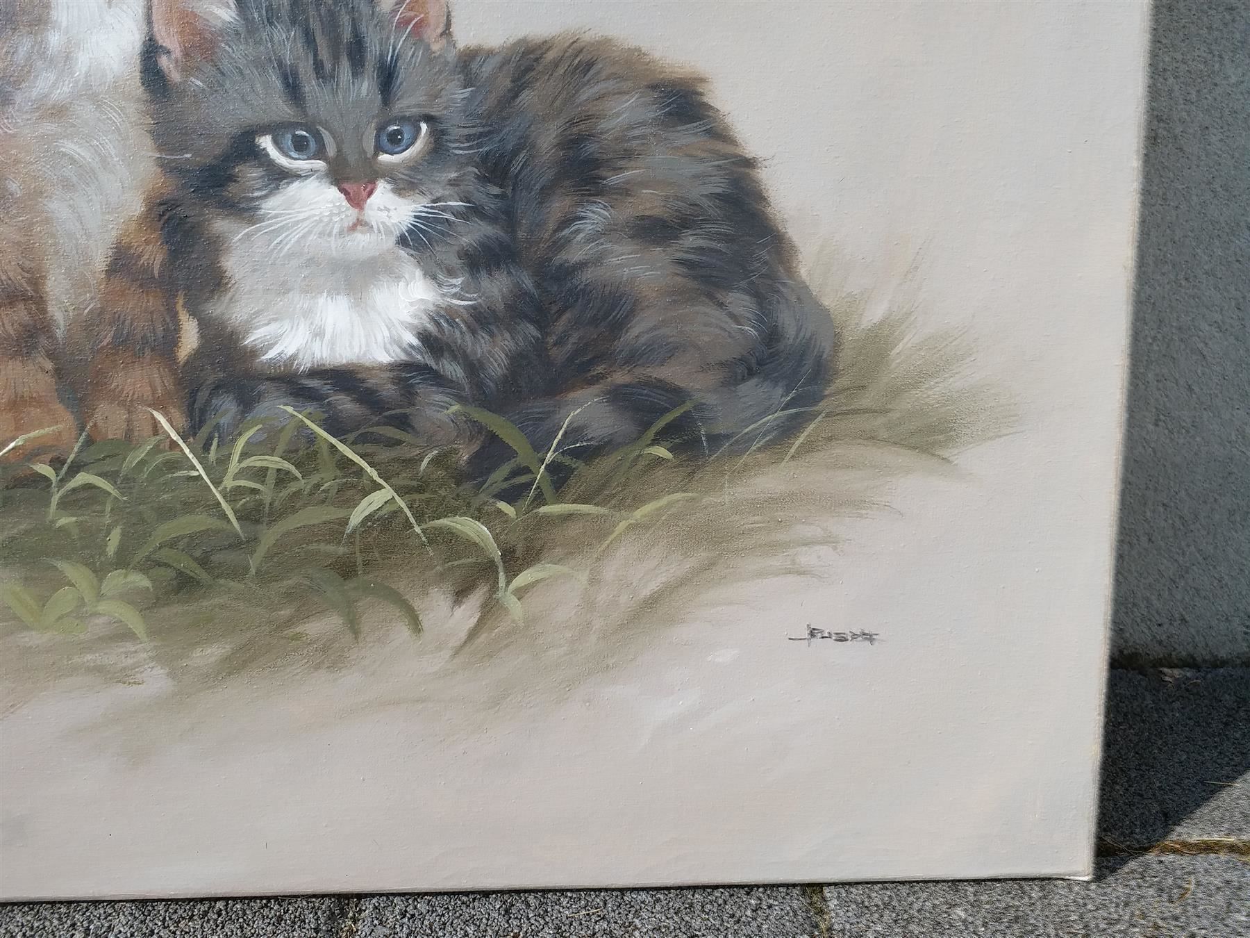 Tableaux: Busdee "Katzen" Gemälde – D'occasion à Zürich par Galerie-Kunst 1
