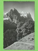 Rosenlaui, Kaltenbrunnenalp