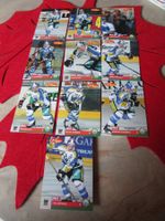 HC FRIBOURG-GOTTERON EISHOCKEY SAMMELKARTEN 2003/04 ANTIK