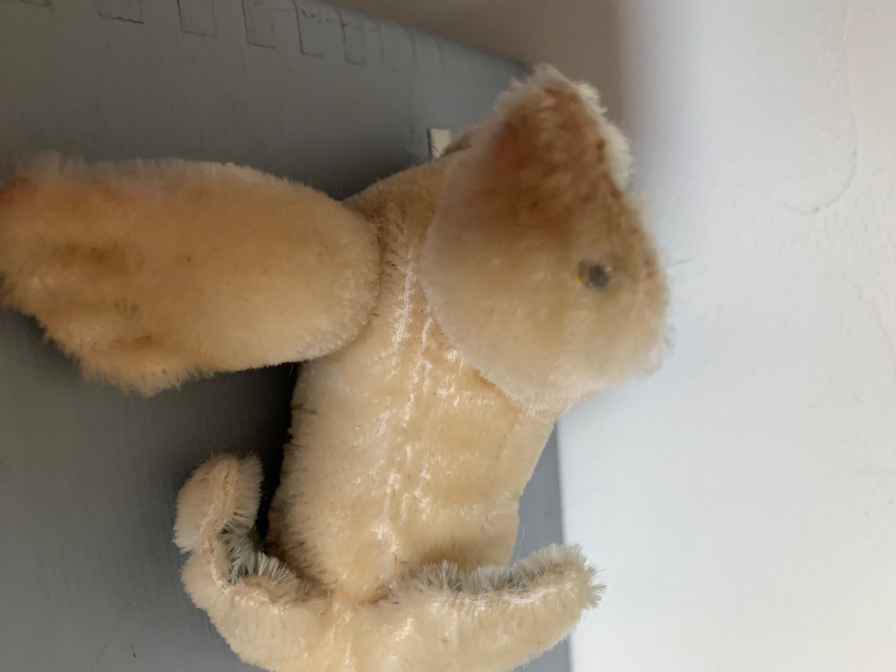 Steiff Giocattoli: Steiff Seehund mit Knopf in der Pfote – Usato da Egg b. Zürich venduto da ohtannenbaum 2