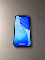 Apple iPhone 12 Pro Max – 256 GB – Pazifikblau