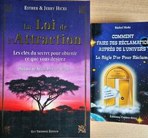 Lot de 2 livres en français