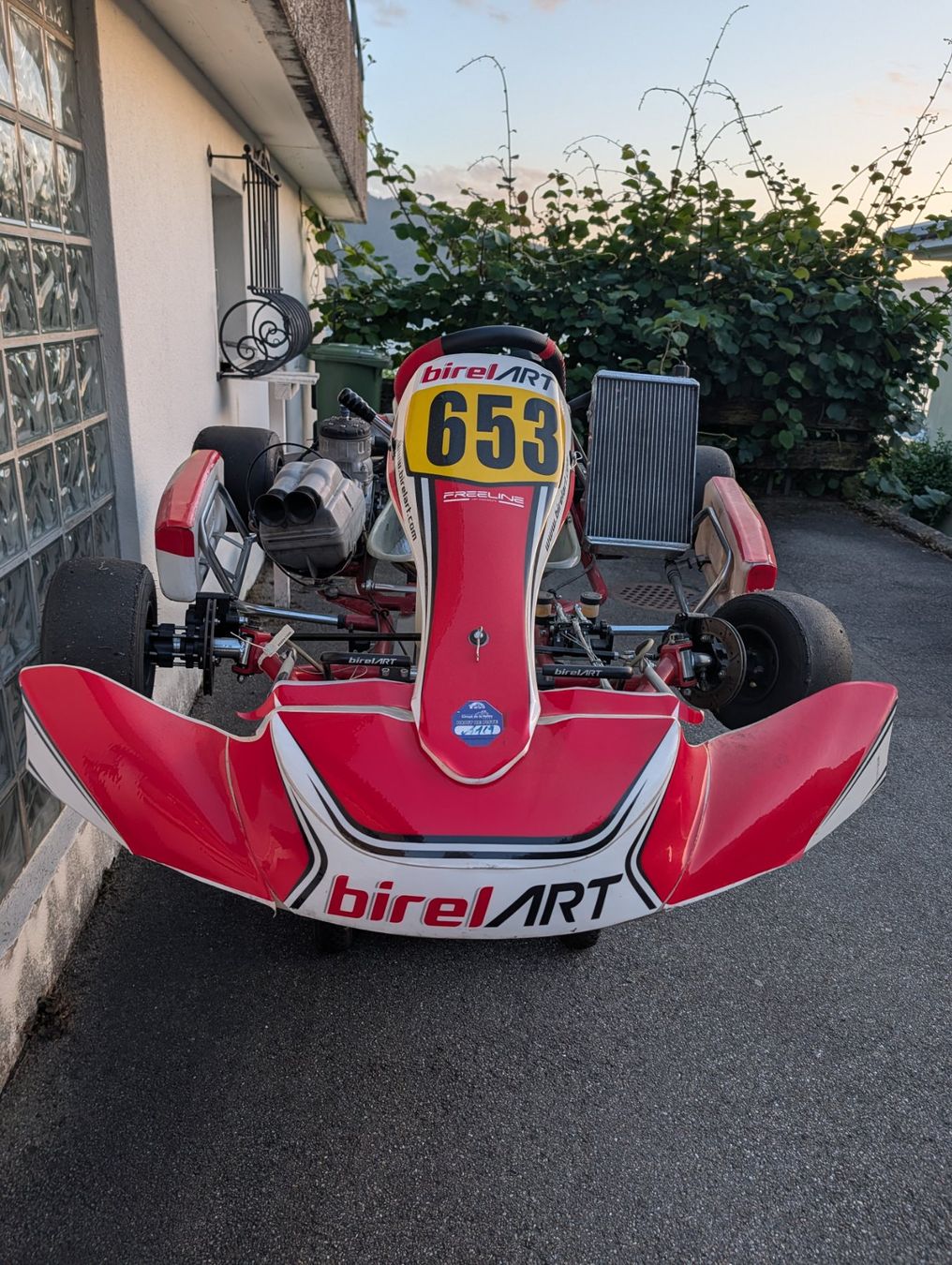 Karts: Birel ART Schaltkart – Gebraucht aus Walchwil von whezg 3