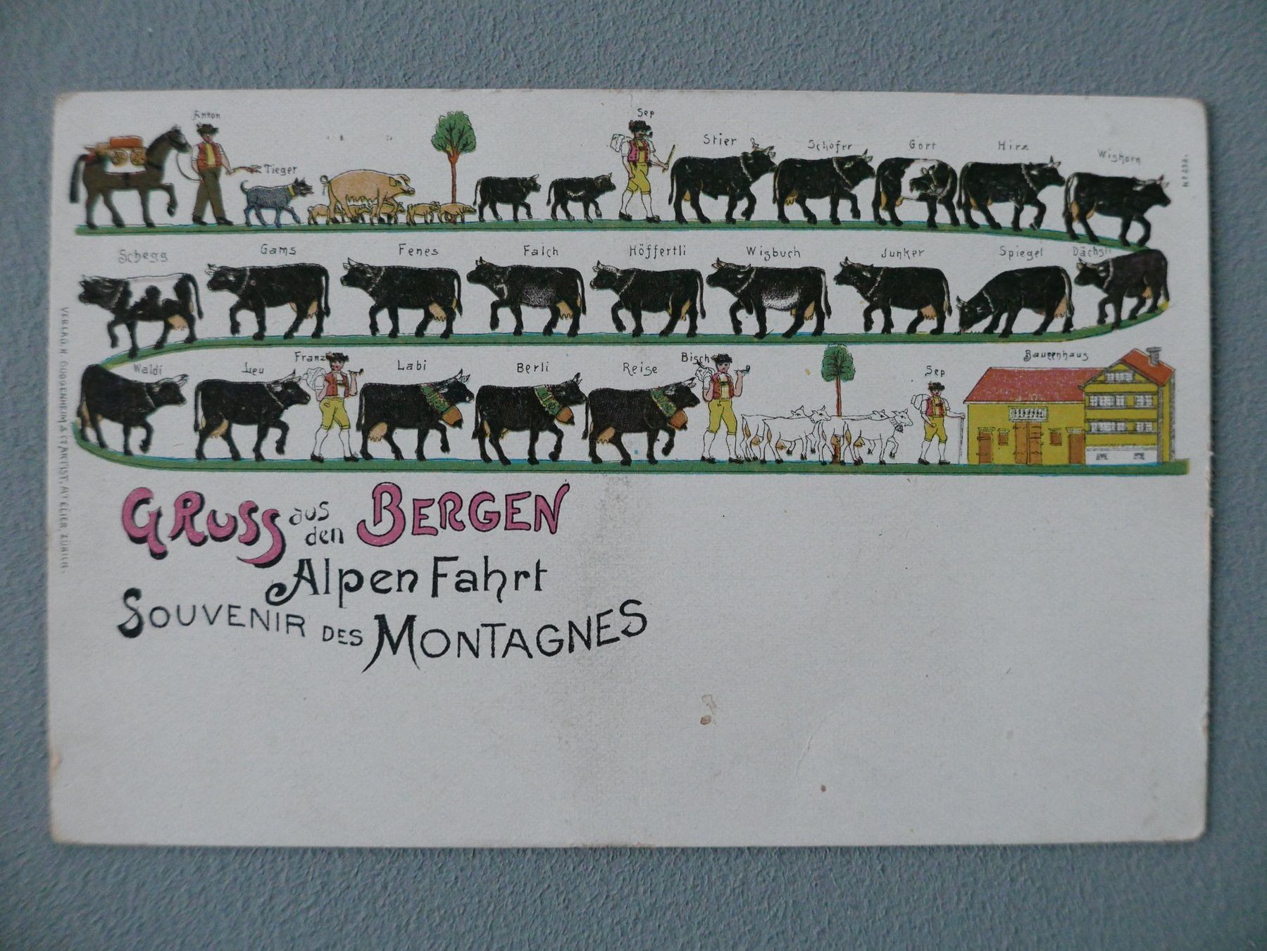 Cartoline postali: ANTIKE ANSICHTSKARTEN ALPFAHRT APPENZELL – Usato da Balgach venduto da Zwischenraum 1