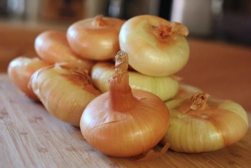 Piante & sementi: 300 Samen Zwiebel FLAT BORETANA – Nuovo (secondo la descrizione) da Ehrendingen venduto da VerveinaSamen 8