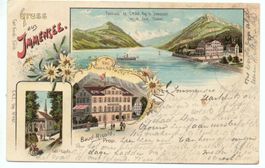 LITHO Gruss aus IMMENSEE Hotel Rigi - Baud-Risold, prop.