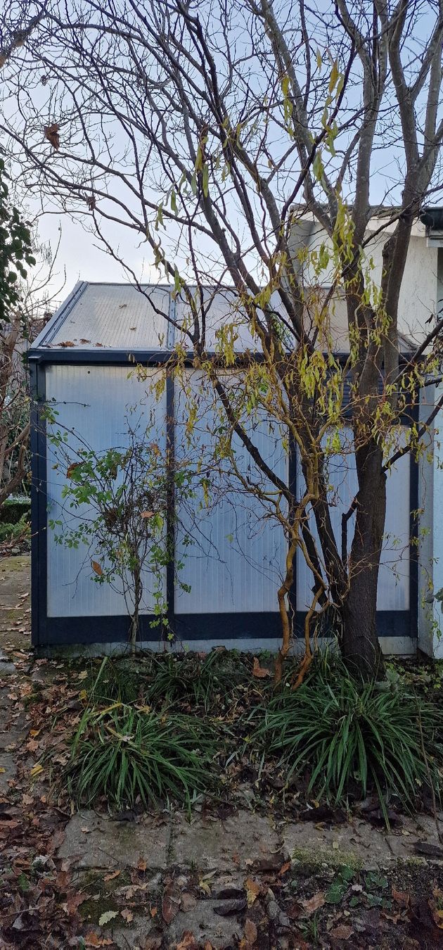 Cabanes de jardin & serres: Wintergarten, Gewächshaus – D'occasion à Bättwil par FOCUS122 1
