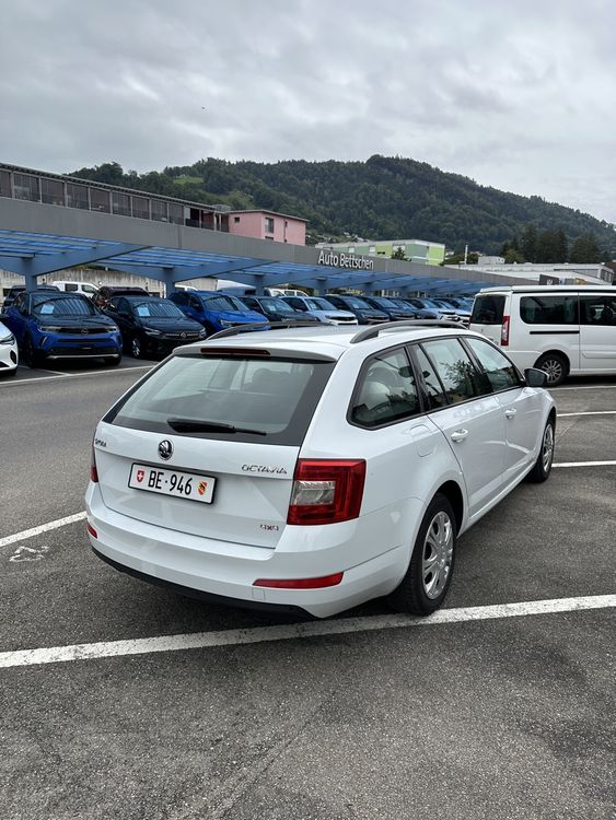 Skoda Automobili: Skoda Octavia 1.6 TDI 4x4 – Usato da Steffisburg venduto da Dzeno02 2