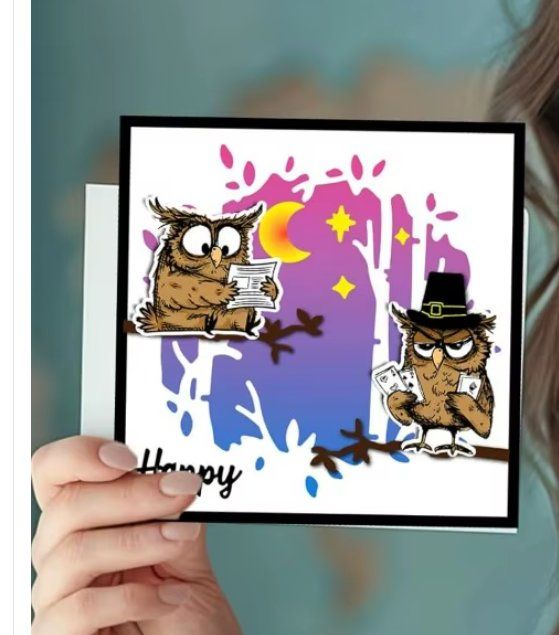 Timbri: Neues Set  Motivstempel  Eulen  11x16 cm – Nuovo e nell'imballaggio originale da Effretikon venduto da wenuss 4