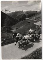 DAVOS Pferde-Kutschen-Fahrt nach Clavadel