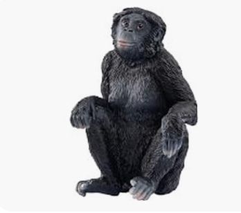 Schleich Giocattoli: Schleich 14875 Bonobo – Nuovo e nell'imballaggio originale da Wagenhausen venduto da Svema