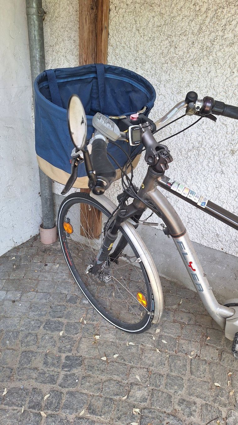Flyer Biciclette: Flyer bis 45 km/h schnell – Usato da Hinwil venduto da dun_tt2z 1
