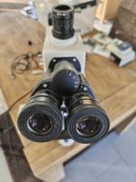 Microskop Oxion