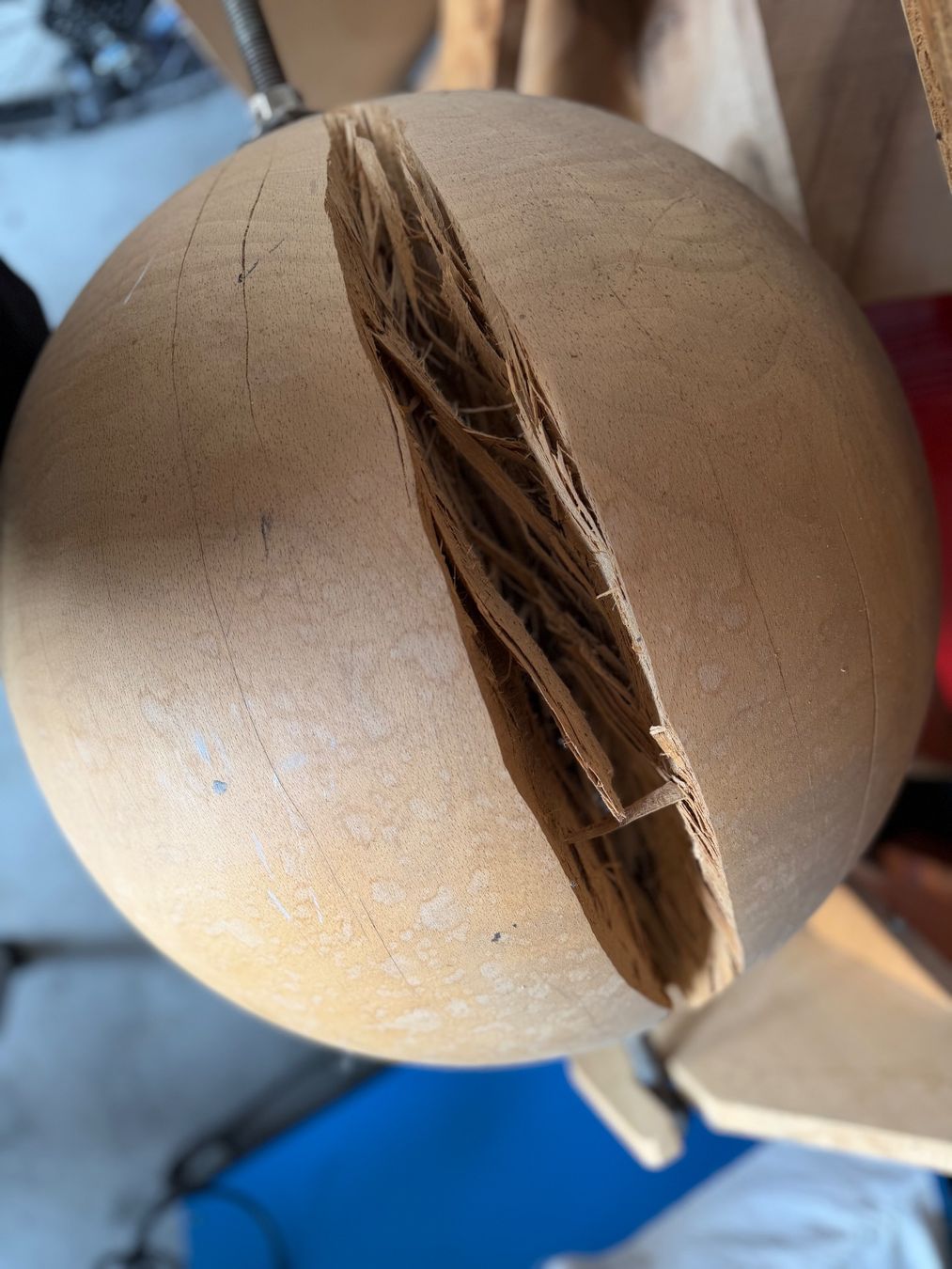 Articoli in legno: Holzkugel Esche; 50cm; roh, – Nuovo (secondo la descrizione) da Wildberg venduto da Melramos04 6