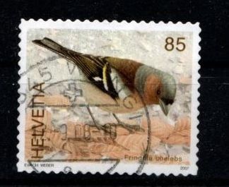 Tutti i francobolli: 2007 - Einheimische Vögel / Buchfink – Usato da Schaffhausen venduto da poststamp