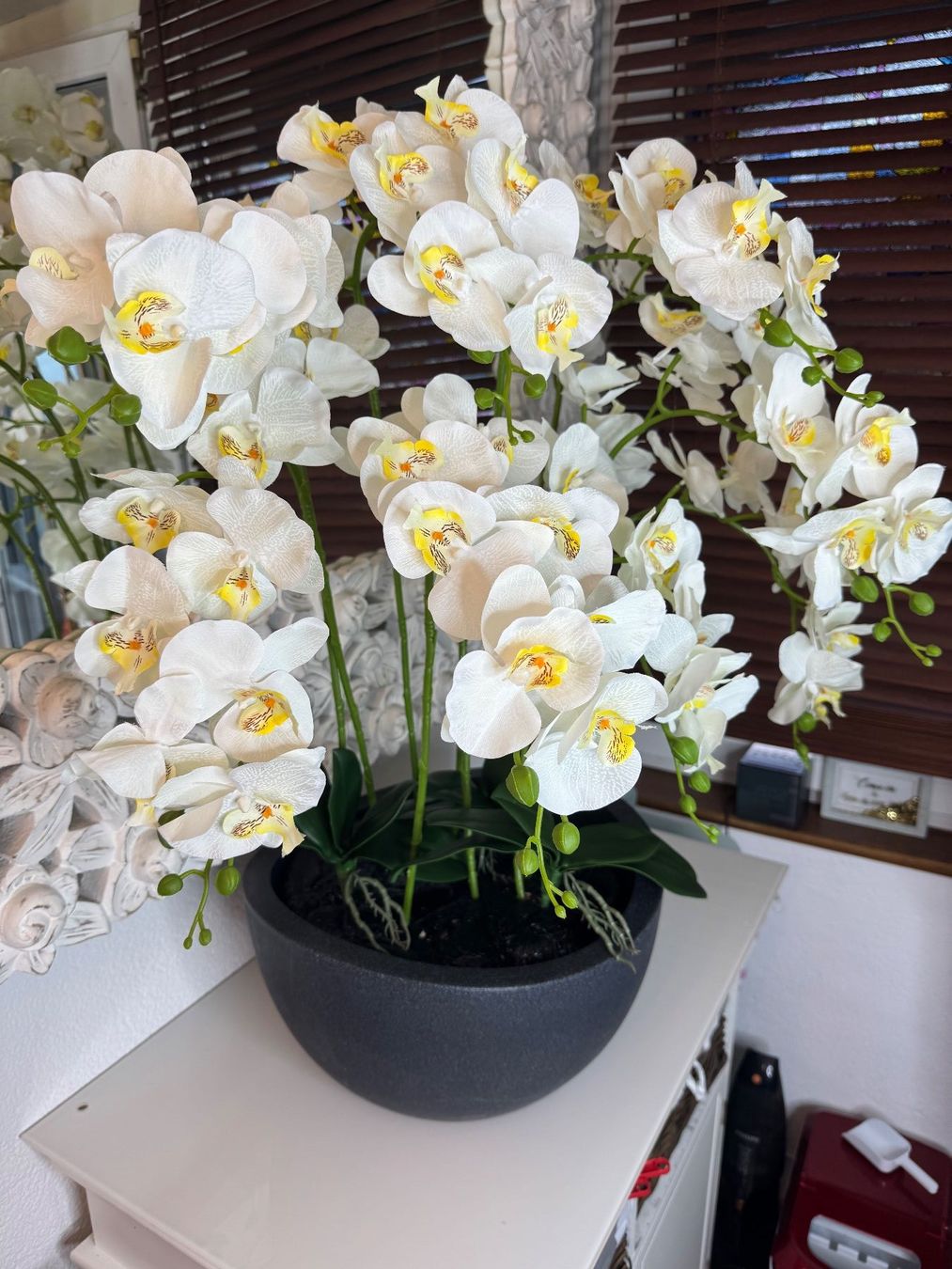 Tutte le decorazioni: Künstliche Orchideen mit Vase New – Nuovo (secondo la descrizione) da Zürich venduto da Privat4444 4