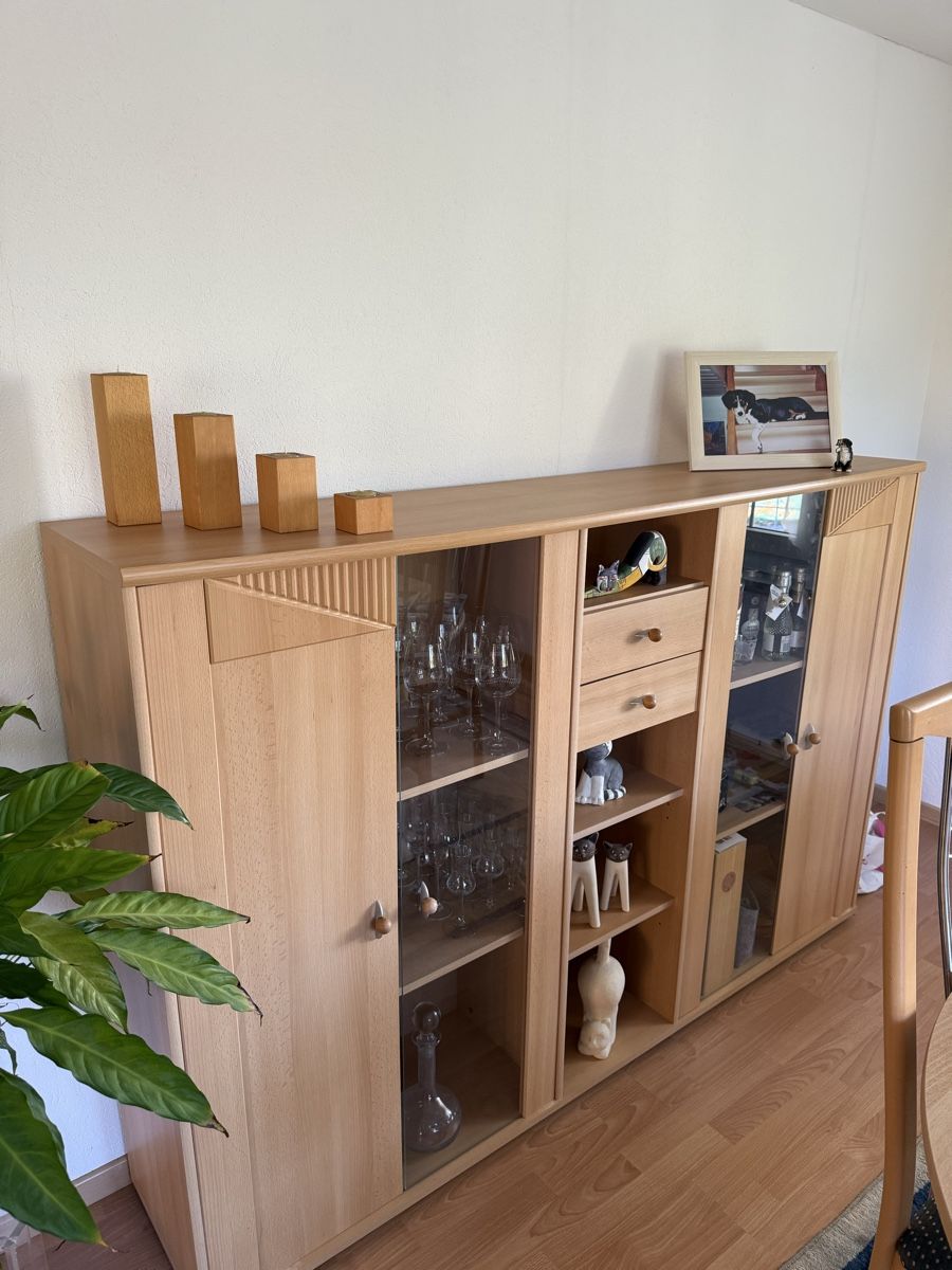 Vitrinen: Vitrine – Gebraucht aus Mörschwil von Seegurke18