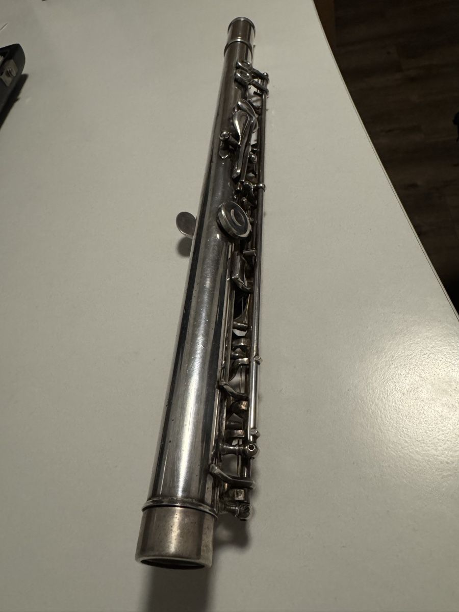 Strumenti musicali: Bouqet Querflöte (gebraucht) – Usato da Hochdorf venduto da fla_hl9g 2