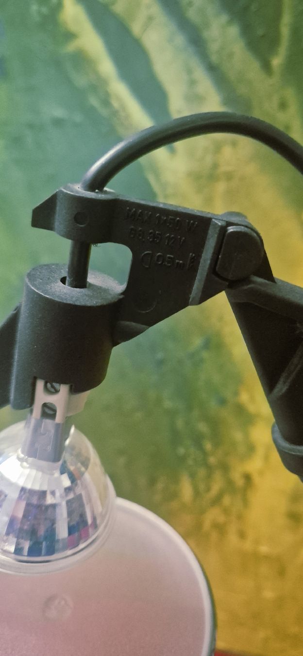 Lampade: Polo Tegla Tischlampe – Usato da Meilen venduto da COSTA_ABC 1