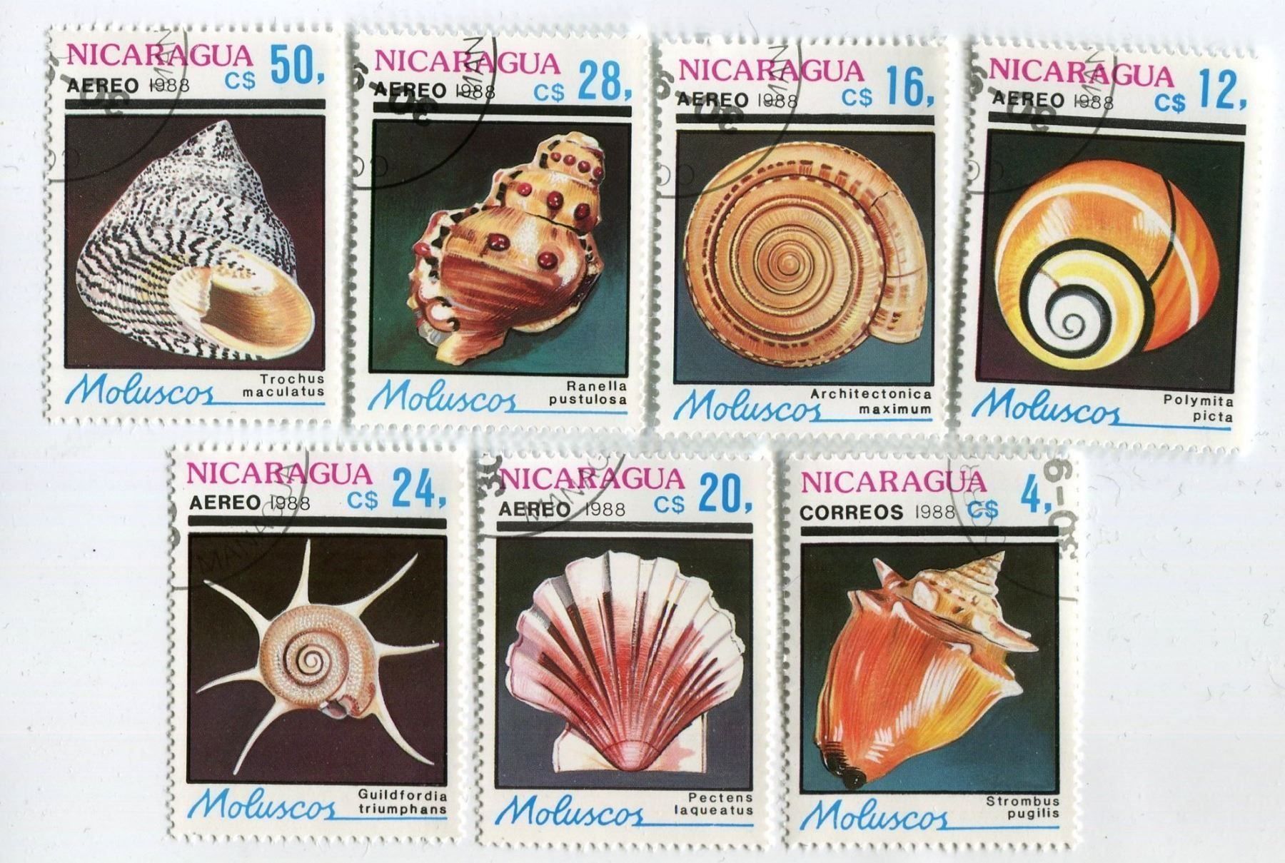Tutti i francobolli: Briefmarken "Muscheln". Nicaragua. – Nuovo e nell'imballaggio originale da Basel venduto da Butsch5
