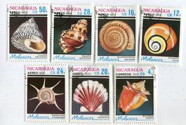 Briefmarken "Muscheln". Nicaragua.