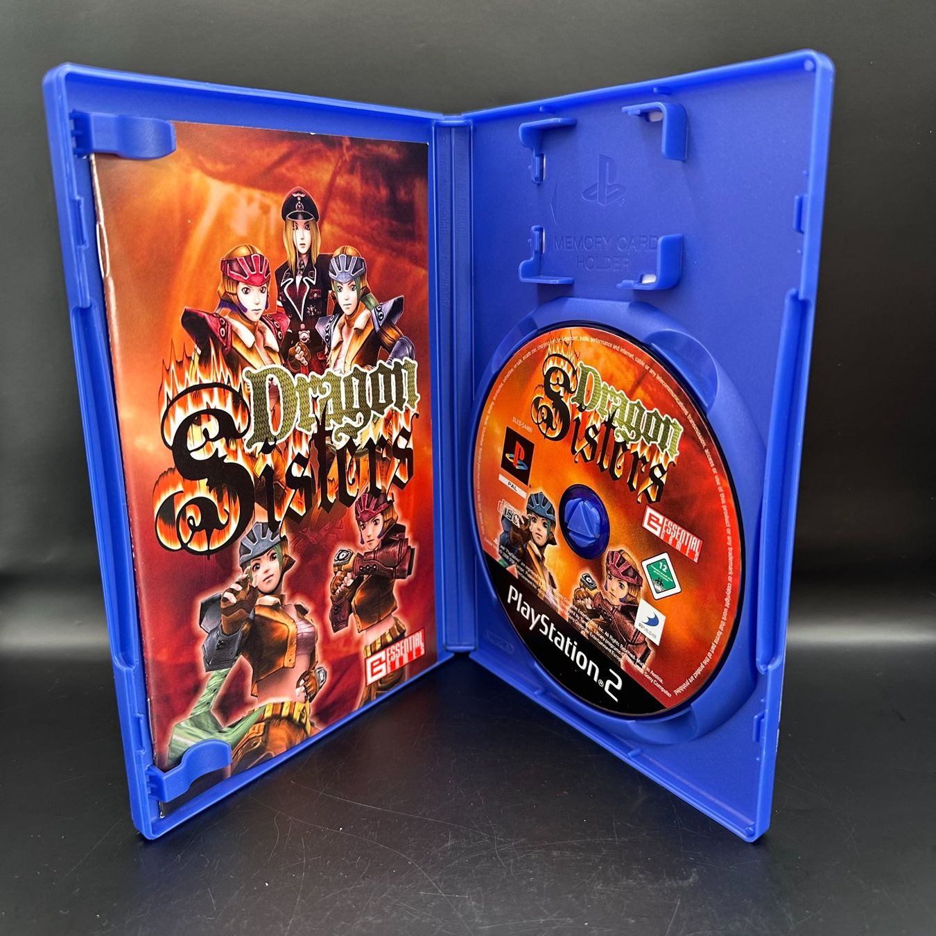 Nintendo Giochi: Dragon Sisters Playstation 2 – Usato da Düdingen venduto da Nerdworld 2